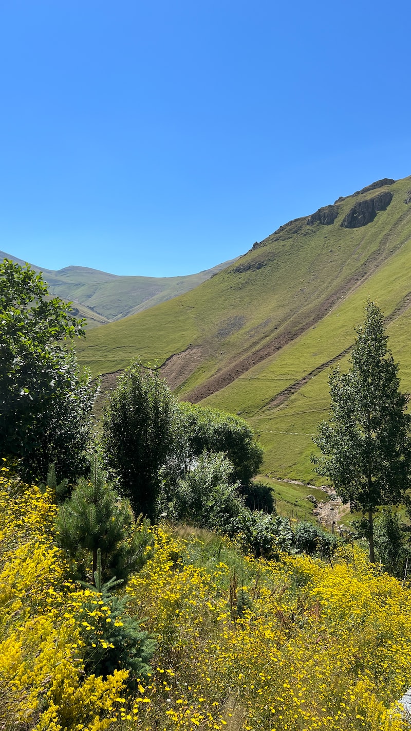 Devrek'te Doğa Yürüyüşleri ve Trekking Rotaları Devrek'te Doğa Yürüyüşleri ve Trekking Rotaları